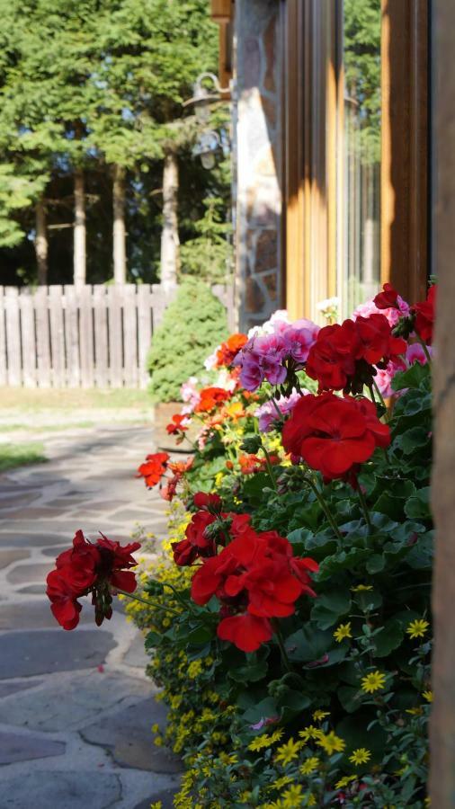 Pension Aspen Harrachov Exterior foto